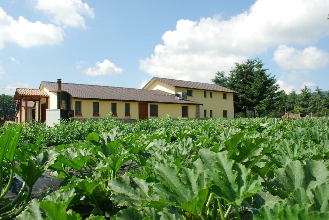 Agriturismo Fiorella Камильятелло-Силано Экстерьер фото