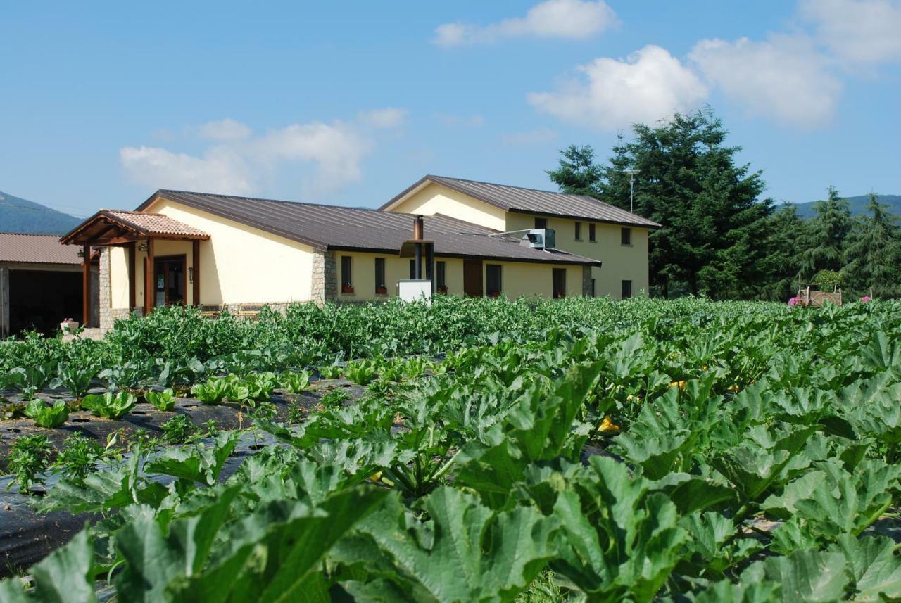 Agriturismo Fiorella Камильятелло-Силано Экстерьер фото